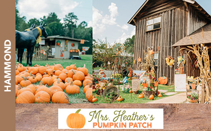 Mrs. Heathers Pumpkin Patch
