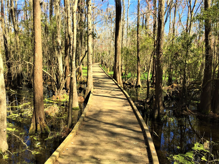 Tangipahoa Tourism > exploremore > Family Fun in Tangipahoa Parish