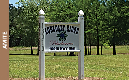 Loblolly Ridge Farm