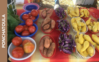 Ponchatoula Farmers Market