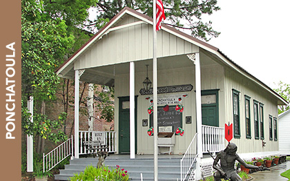 Collinswood School Museum