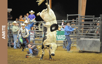 Florida Parishes Arena