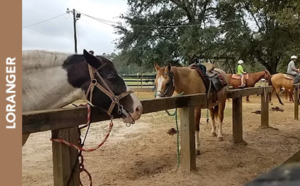 Sweetwater Campground, Ranch & Riding Stables
